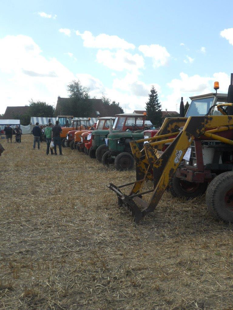 FDM 2012  (68)