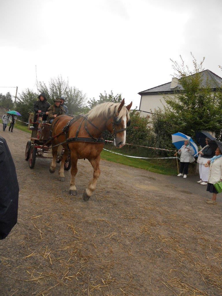 Fête 2016 T_C (13)