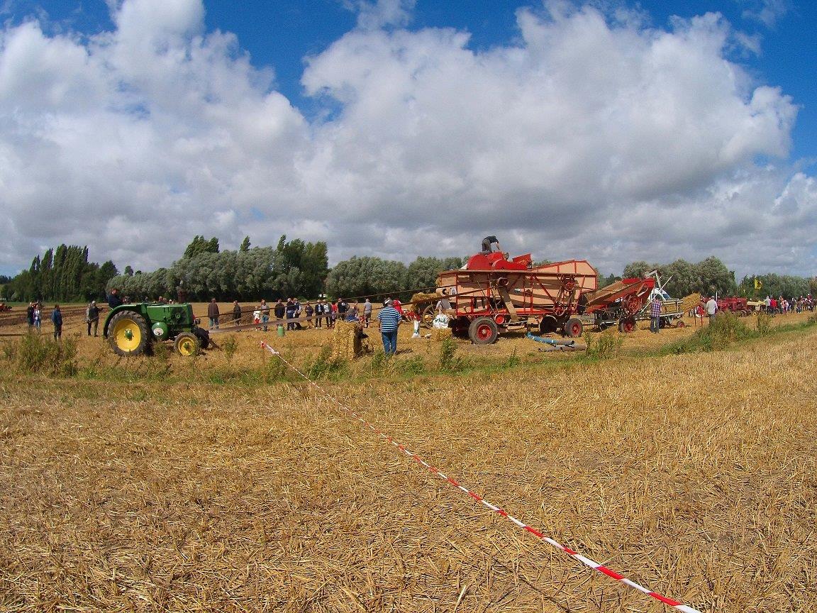 Fête 2016 T_C (180)