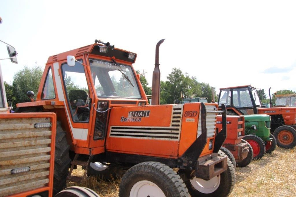Fete de la moisson 101 