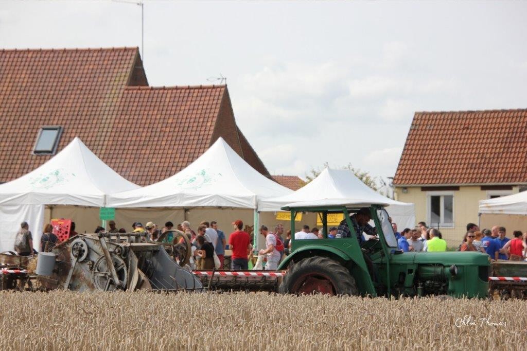 Fete de la moisson 120 