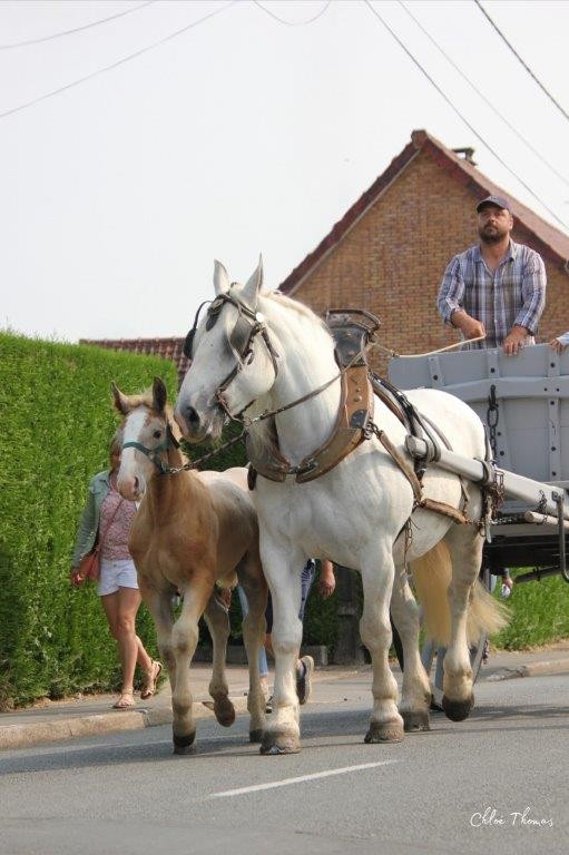 Fete de la moisson 2024 27 