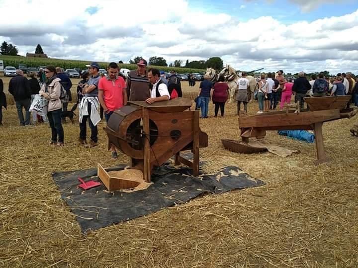 Fête Moisson Boiry Becquerelle (6)