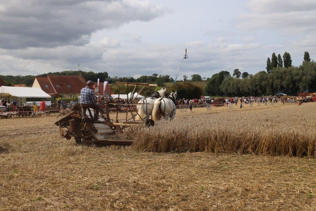 Moisson 2024 173 