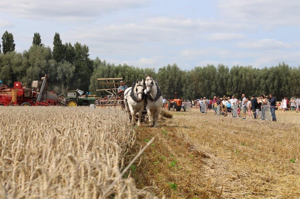 Moisson 2024 177 