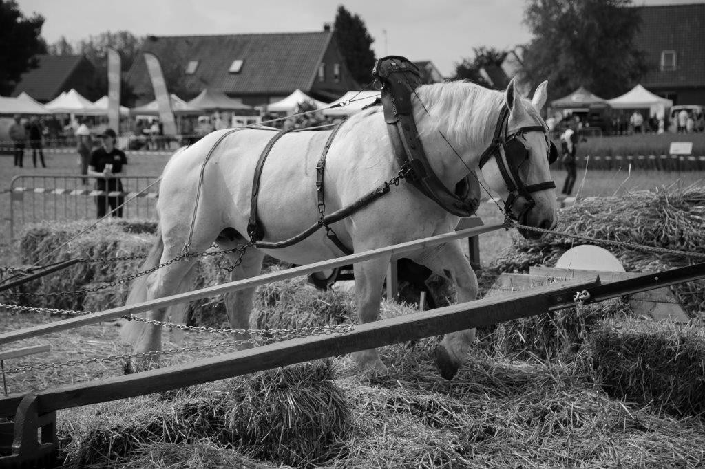 Photo eric poilpre 11 