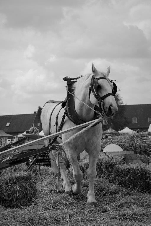 Photo eric poilpre 14 