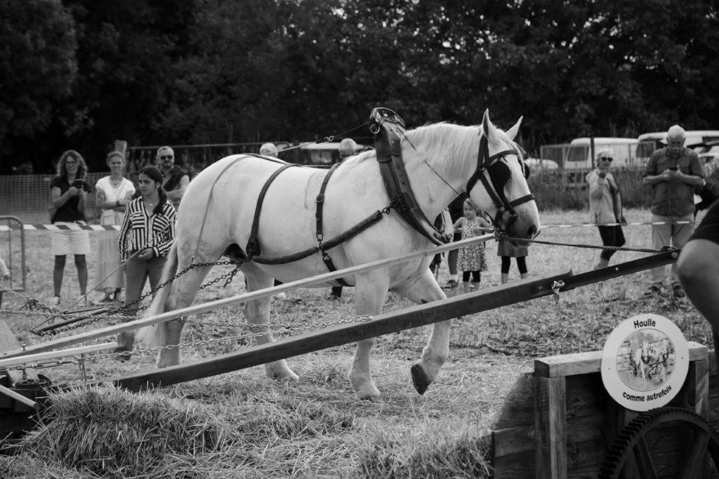 Photo eric poilpre 22 