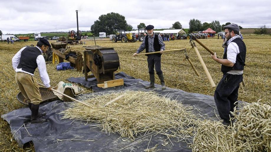 Fete de la moisson boiry becquerelle